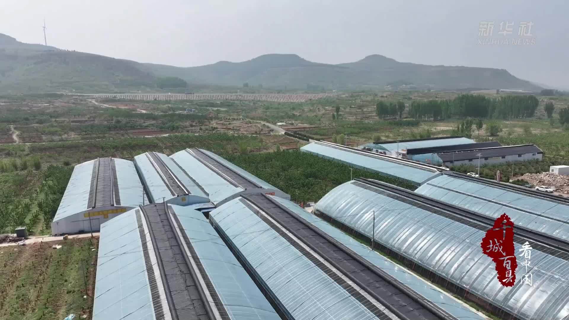 千城百县看中国｜山东枣庄：五一采摘游受热捧