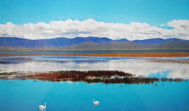 五一来甘南　线路都给你备好了