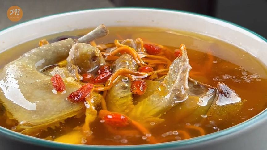 鸽子汤的营养价值惊人、搭配3样食材，功效更翻倍
