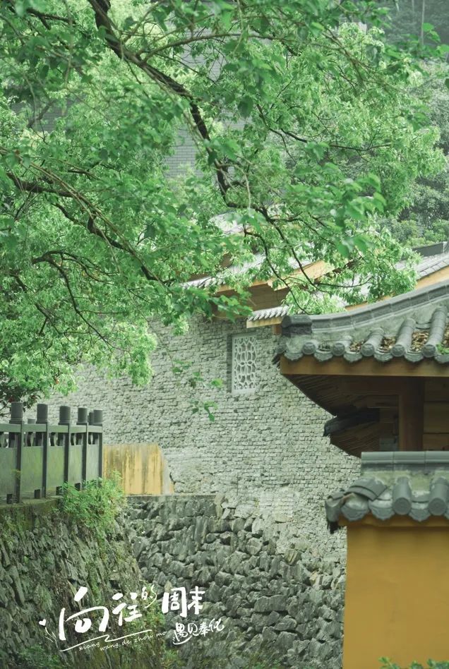 微信截图_20250425153610.png