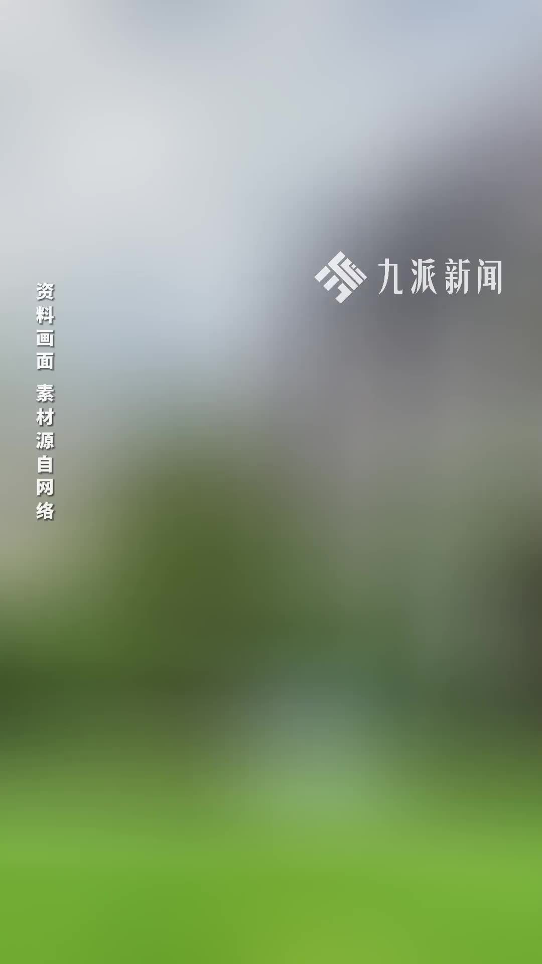 物业费每月0.75元平方米，小区八成业主满意服务支持续聘