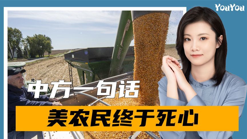 中方一句话，美国农民的心终于死了，下一个崩溃的行业已经出现