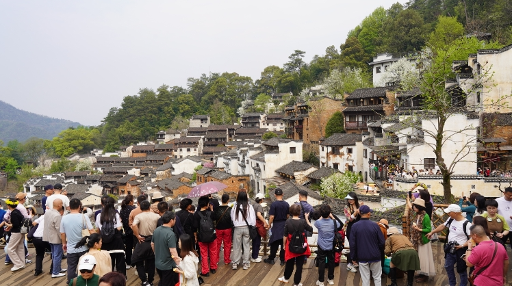游客在篁嶺景區(qū)拍照打卡。肖雅/攝
