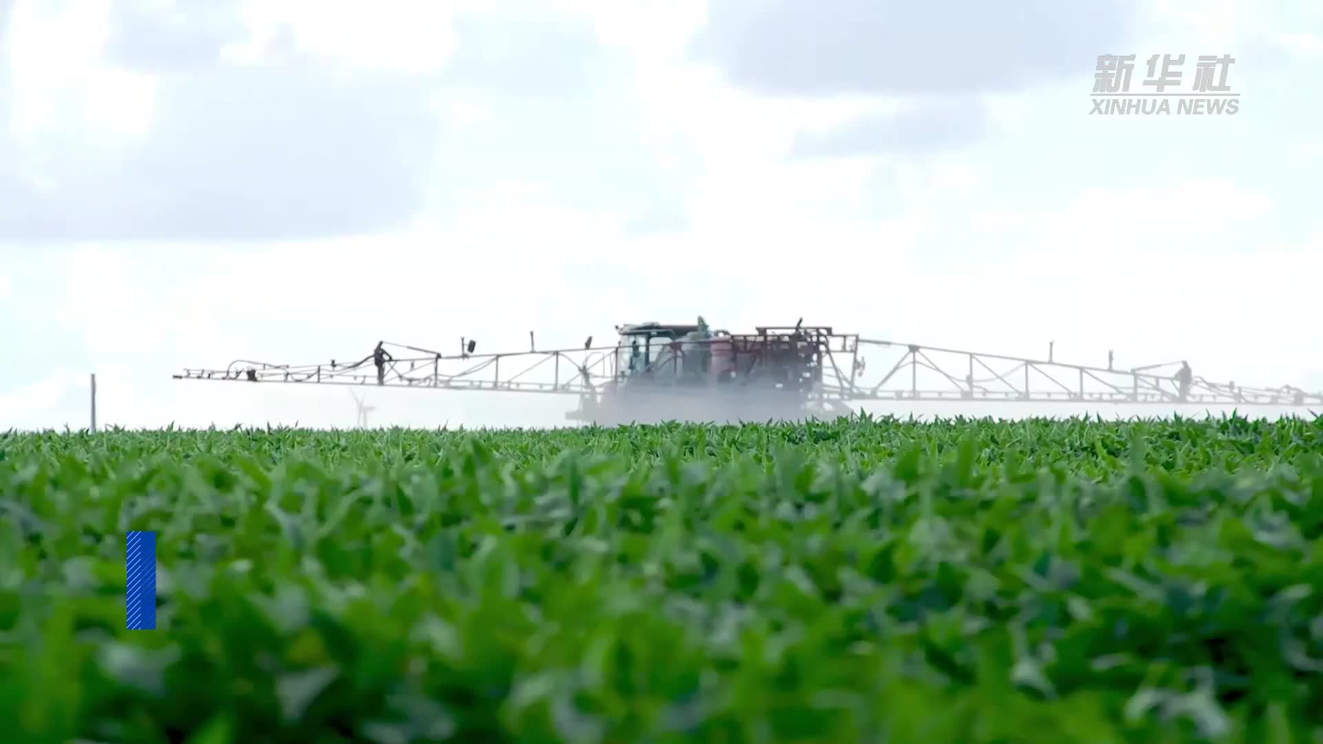 “中俄双子城”｜共享社会生活新体验