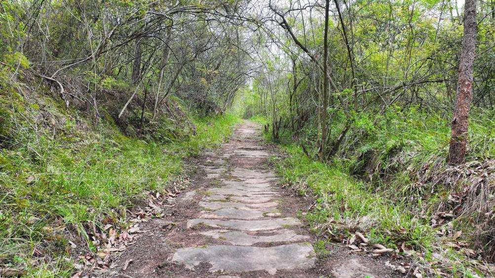 四川绵阳仙海凤凰山古道（国家文物局供图）