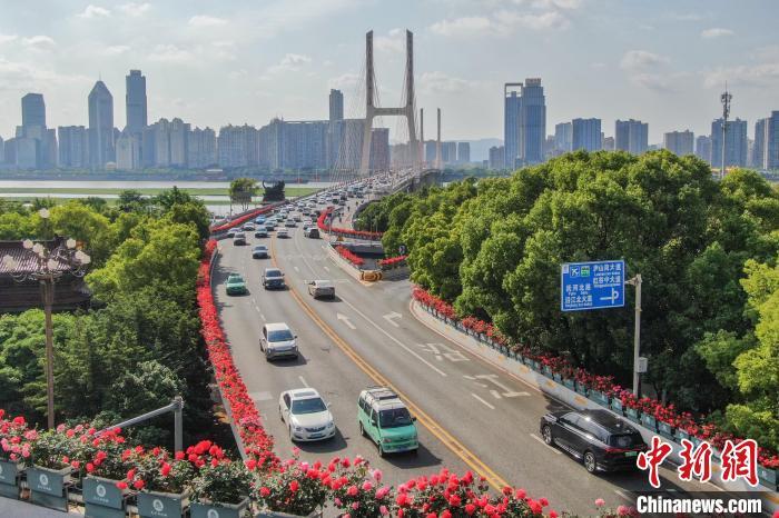 江西南昌八一大桥引桥两旁的一株株月季迎着明媚春光竞相绽放，仿佛“空中花廊”，点缀了城市春色。刘力鑫 摄