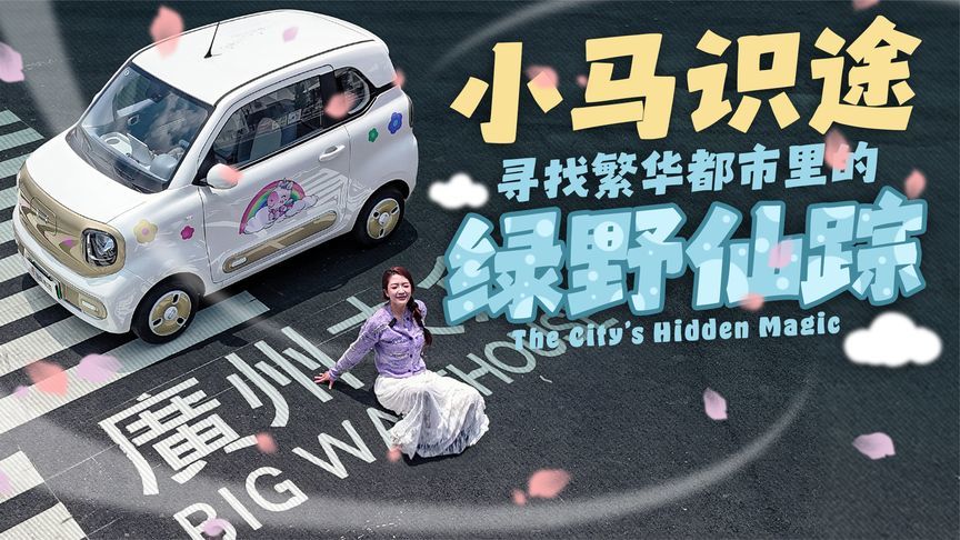 约会绿野仙踪的奔腾小马：魔法座驾开启浪漫城市生活