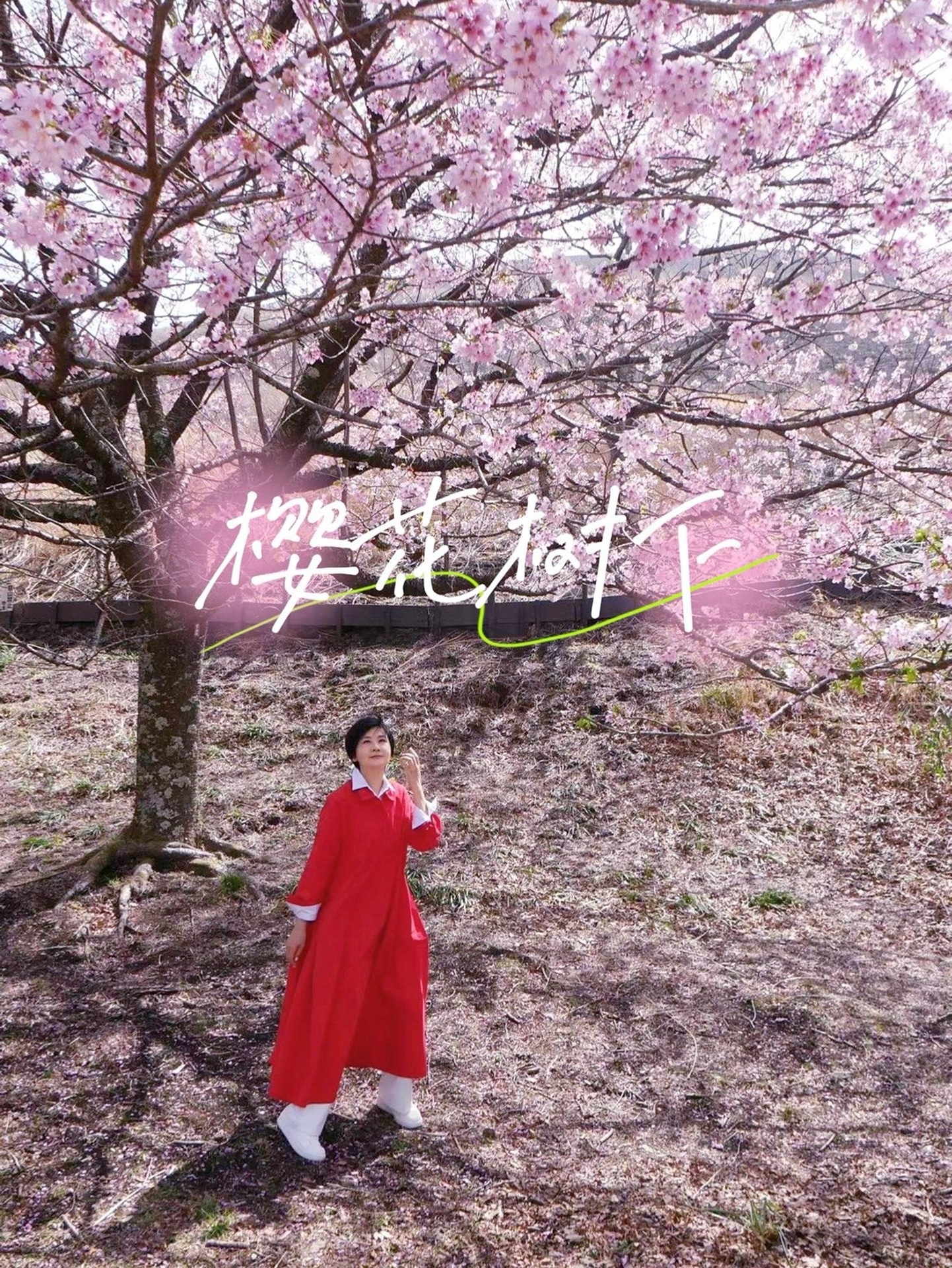 樱花写给春天的信 樱花树下站谁都美，给春天的爱最热烈在樱花树下玩起来，樱花色的套装、樱花色的指甲、还有与樱吹雪玩的孩童心。用樱花给春天写信，你是浪漫、你是柔美、你是春的热烈。#莉分享#五一主线任务抵