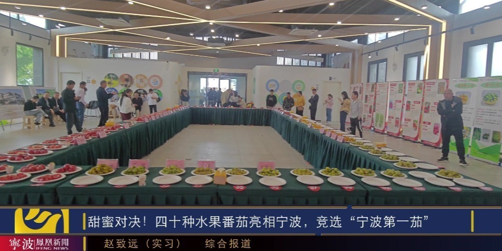 甜蜜对决！四十种水果番茄亮相宁波，谁才是"最佳风味"？
