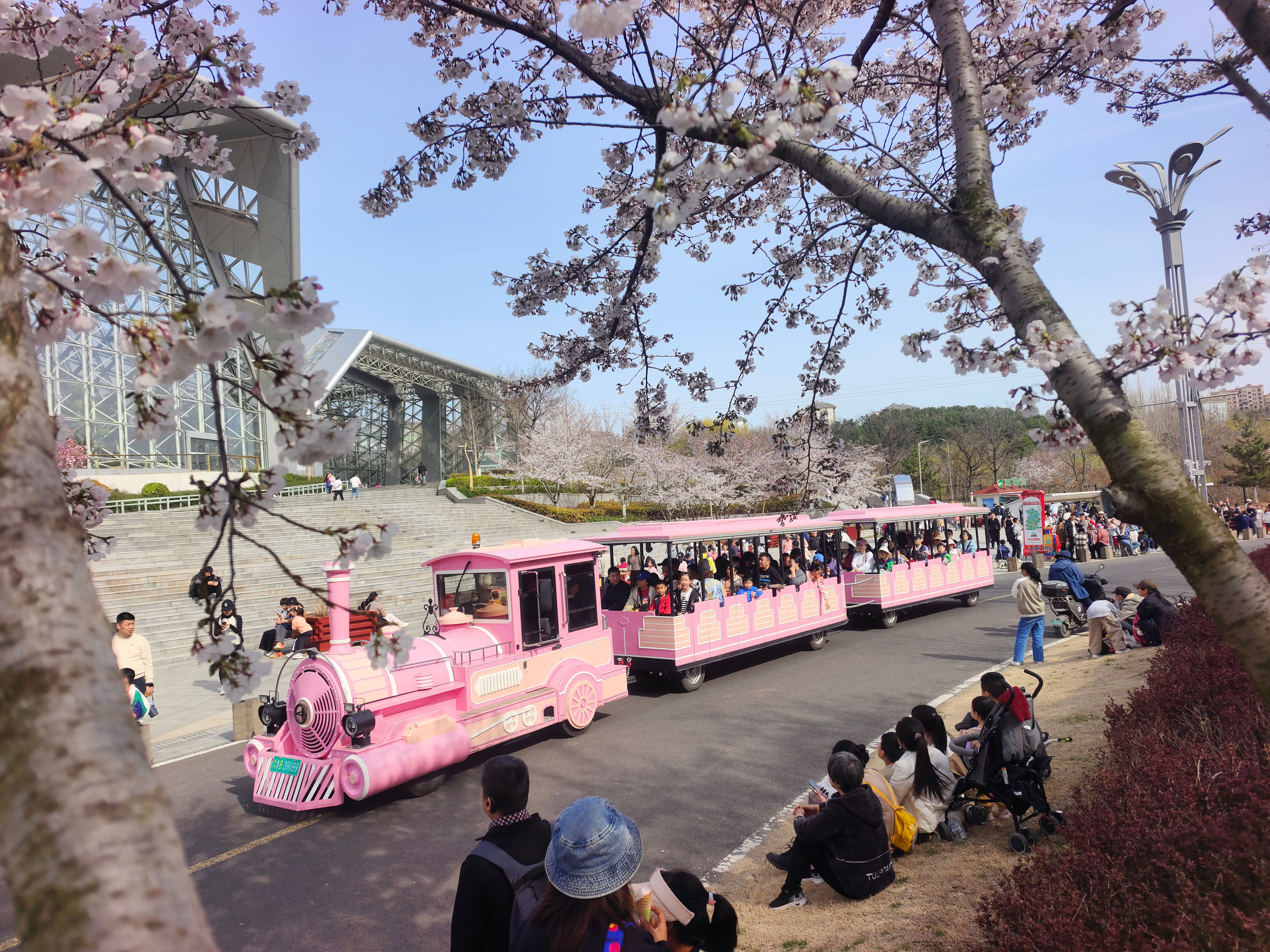 “五一”假期青岛世博园“趣”玩指南！ 绝美芝樱花海+萌宠互动+植物探秘…即刻出发！