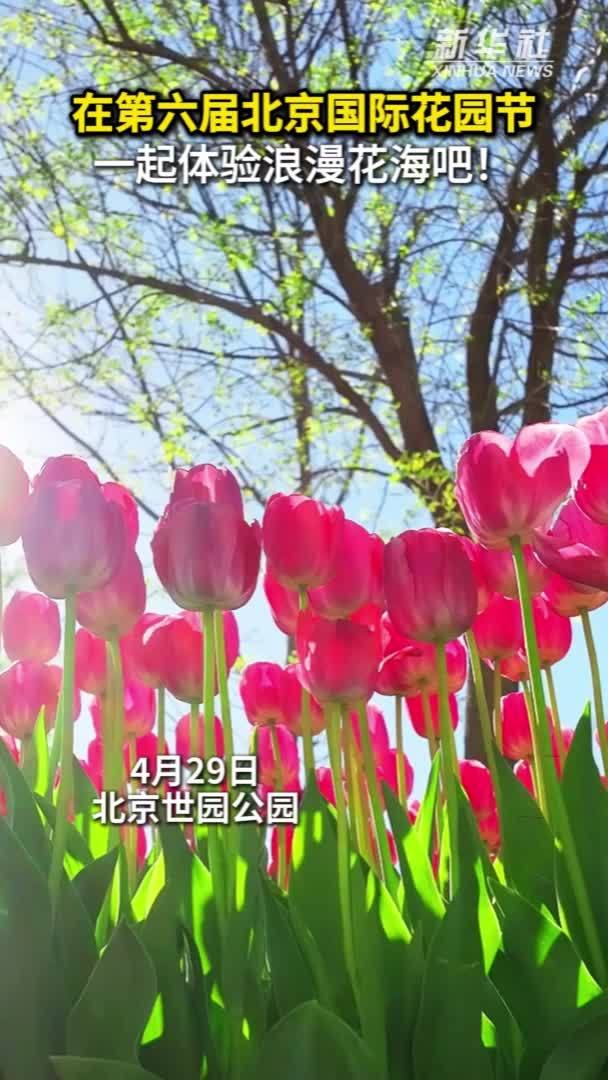 秀我中国｜到第六届北京国际花园节体验浪漫花海