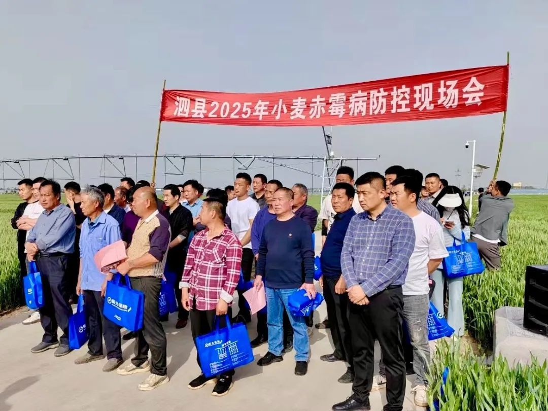 泗县现场会.jpg