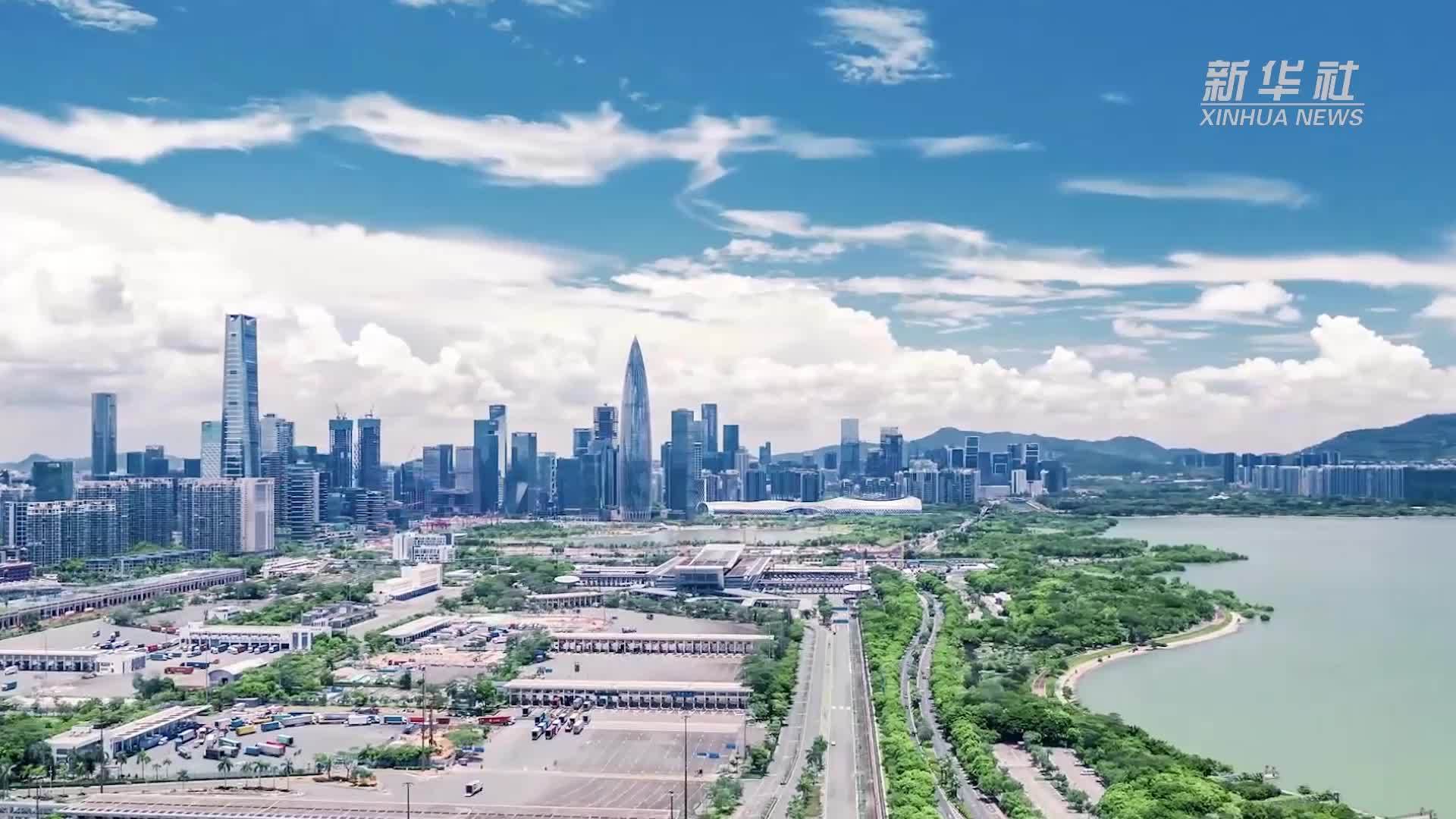 创新开放合作“活水”浇灌湾区科创“春笋”