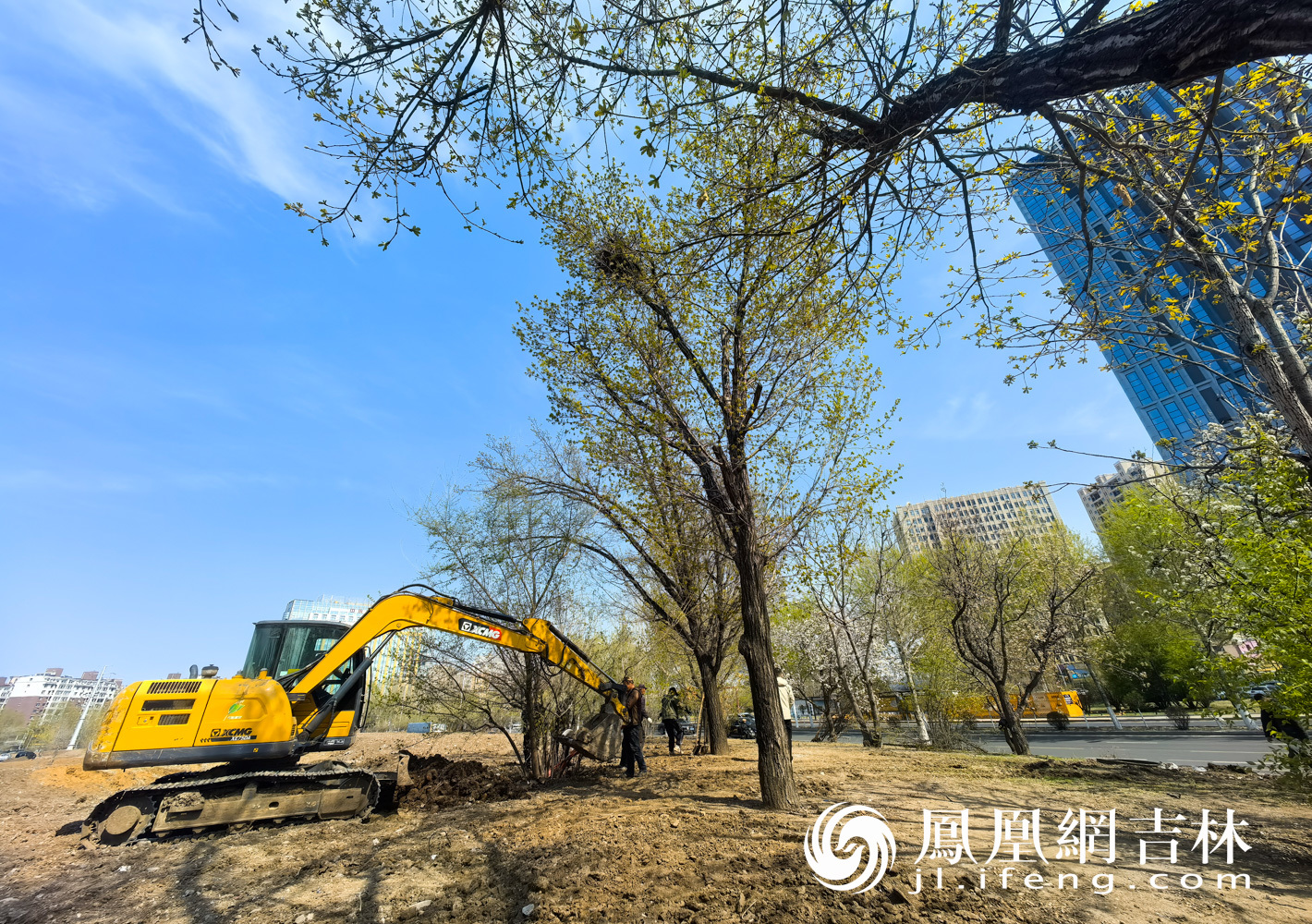 翠泉源公园拆围现场。