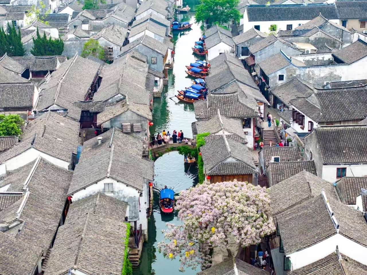 古镇周庄：“一镇千面”重塑文旅新生态