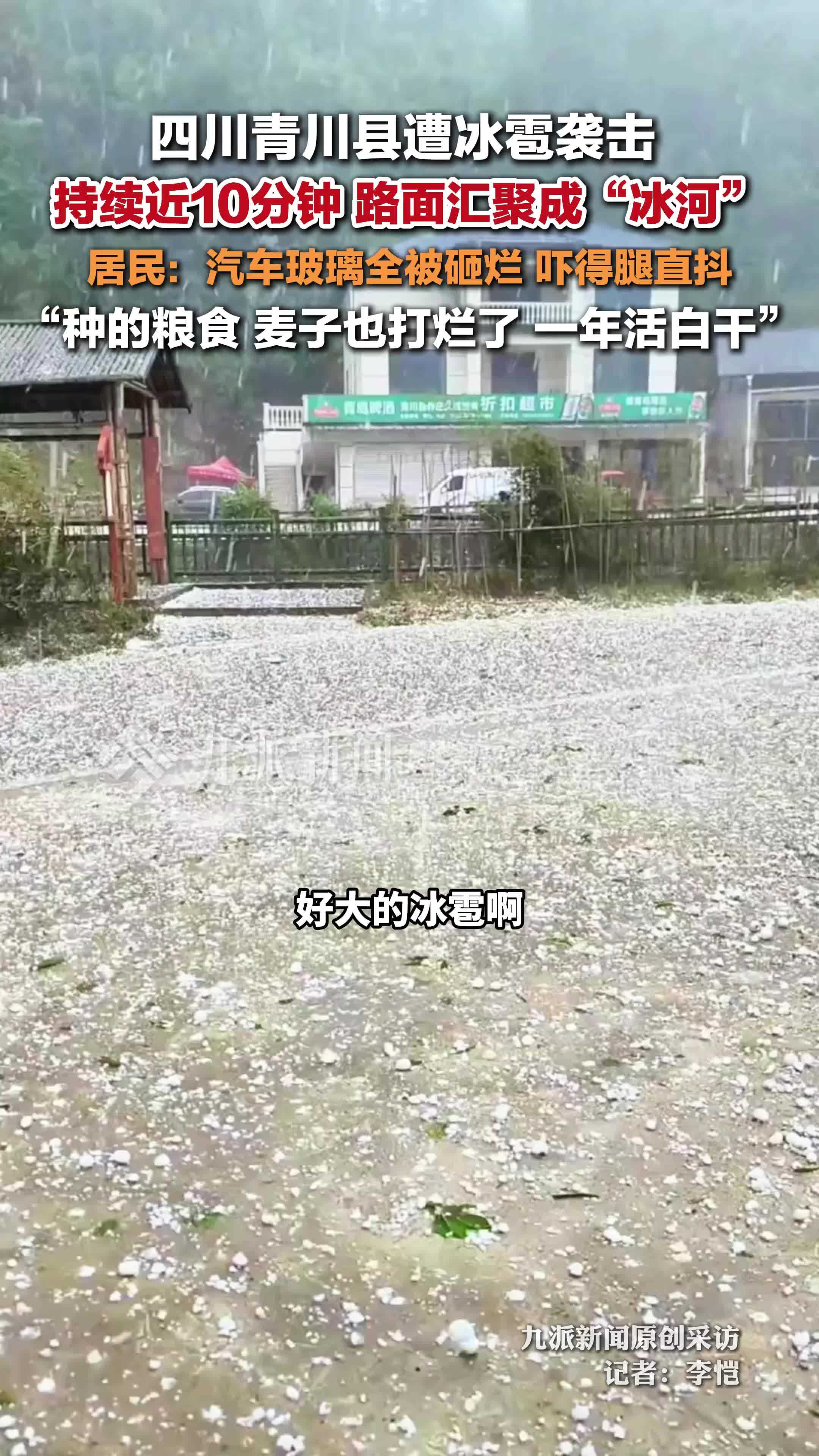 四川青川县遭冰雹袭击 ：持续近10分钟，路面汇聚成“冰河”