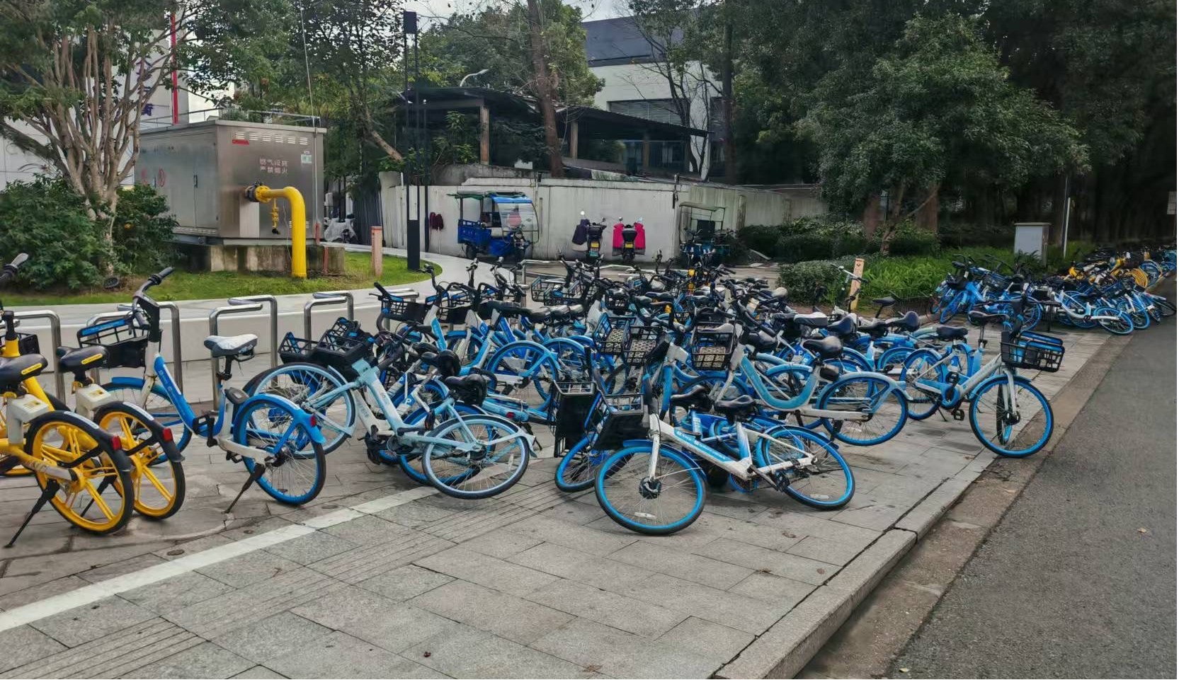 宁波首例，高校单车“爆仓”何解？ 镇海庄市构建共享单车管理“帕累托最优”