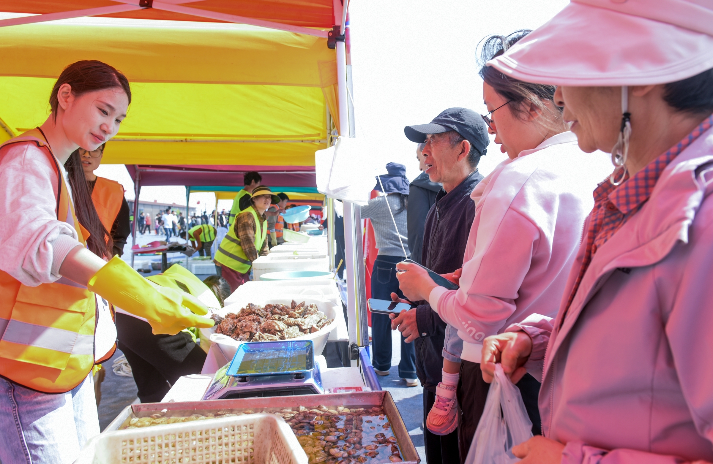 山东胶州:海鲜文化狂欢点燃城市“烟火气”