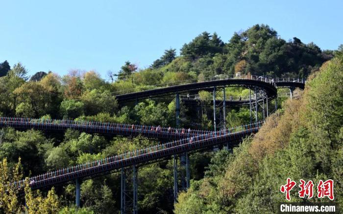 形似游龙行走的“云道”　康县融媒体中心供图