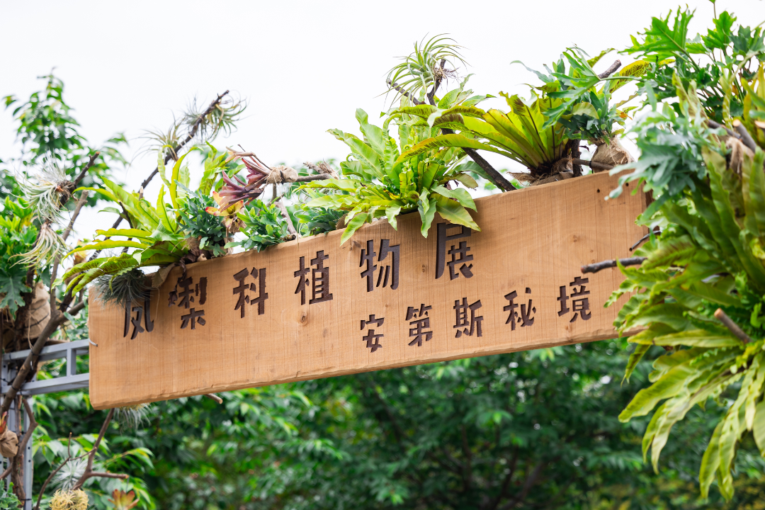 宁波植物园1.png