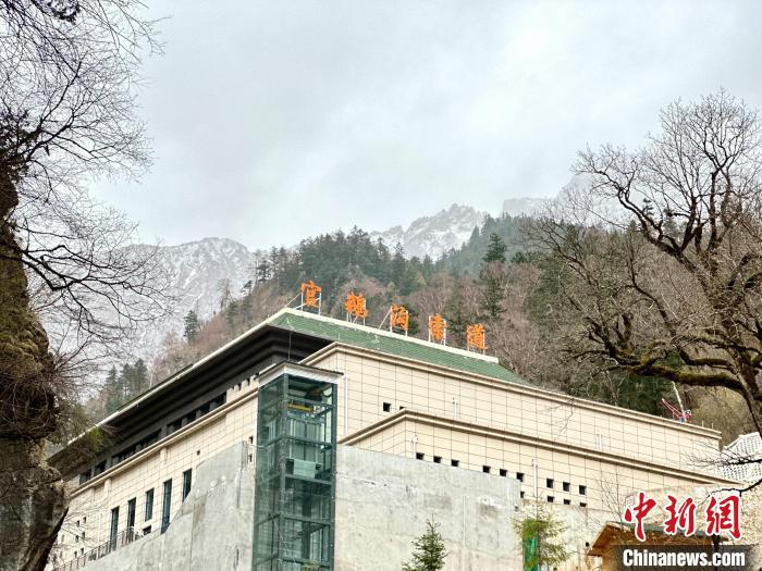 图为官鹅沟雷古山索道。官鹅沟由官珠沟、鹅嫚沟、雷古山等核心游览区组成，2022年被确定为国家5A级旅游景区。据了解，“五一”假期期间，雷古山索道往返票价享五折优惠。闫姣　摄