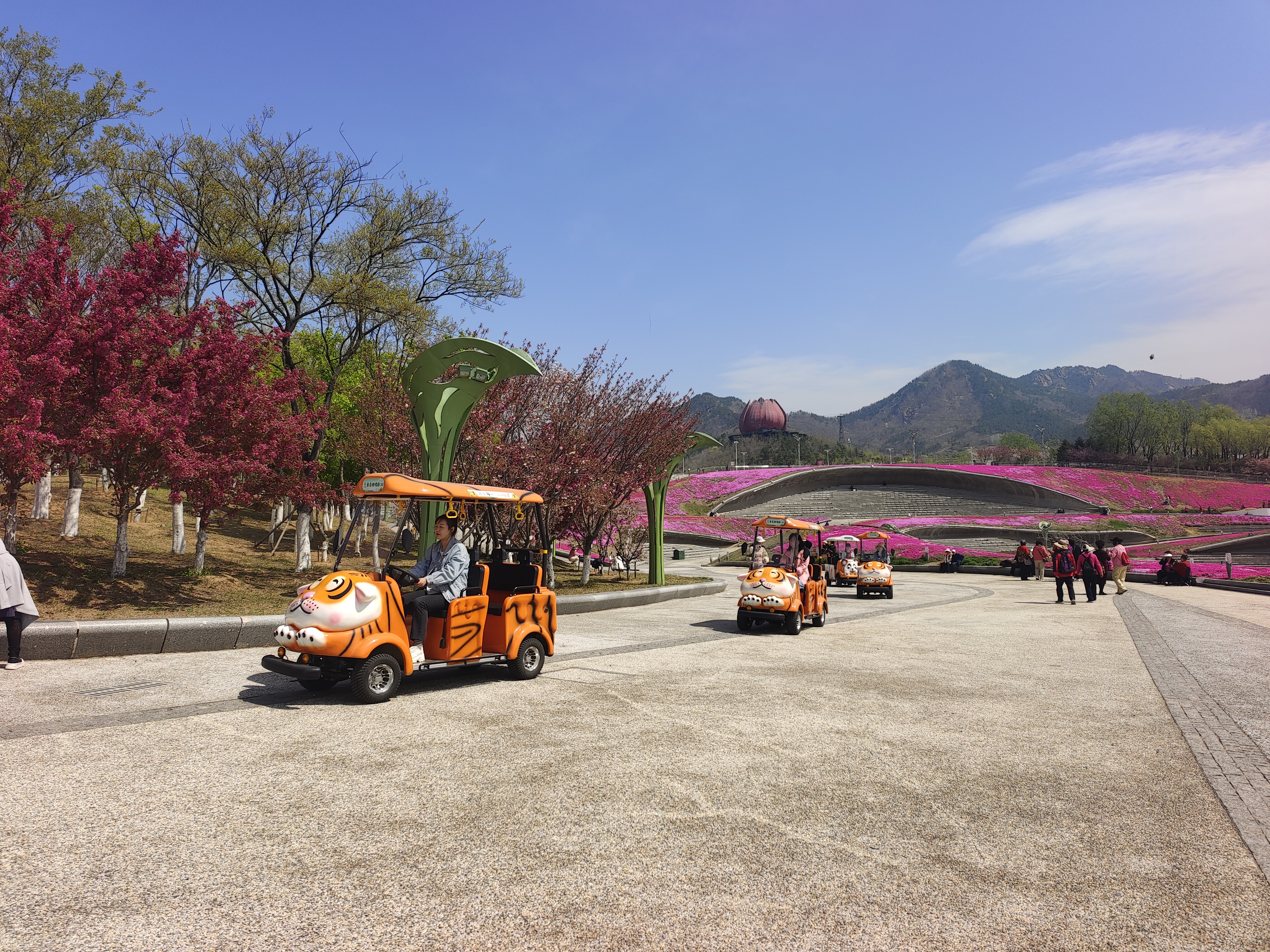 “五一”假期青岛世博园“趣”玩指南！ 绝美芝樱花海+萌宠互动+植物探秘…即刻出发！