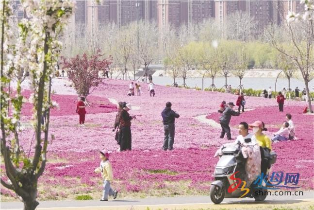 YMG全媒体记者唐克 摄