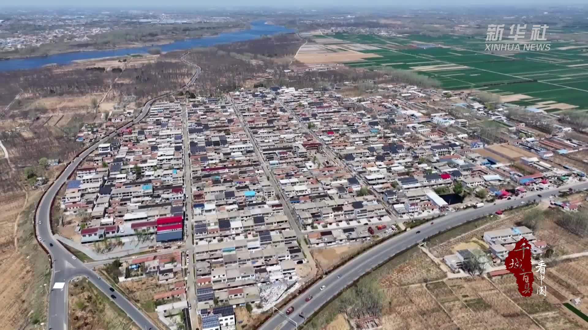 千城百县看中国｜山东临沭：沙窝村里的“金滩栗海”