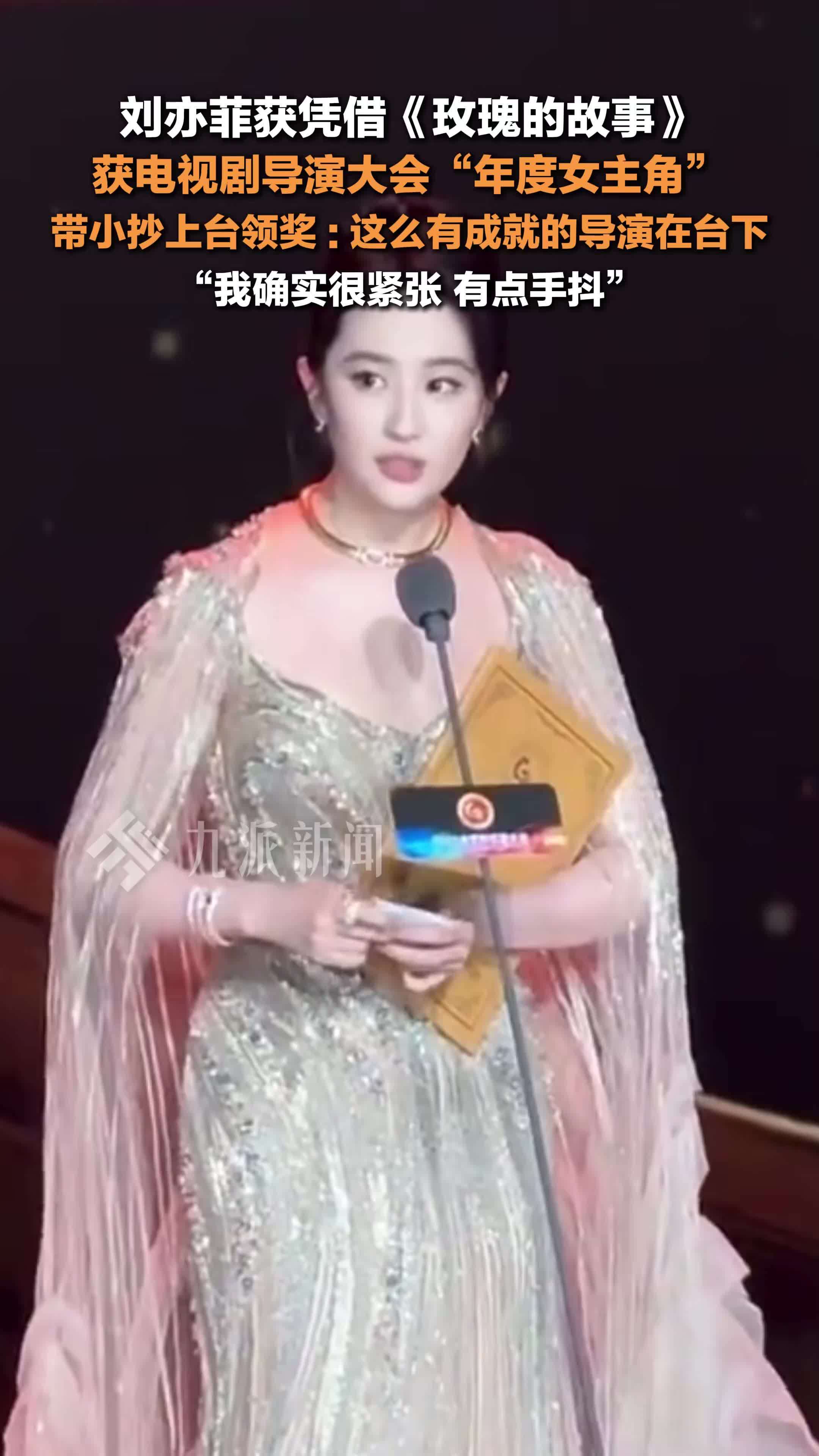 刘亦菲获电视剧导演大会年度女主角