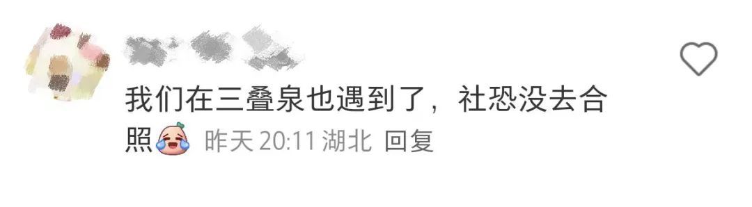 知名主持人、演员杨迪现身庐山（图）