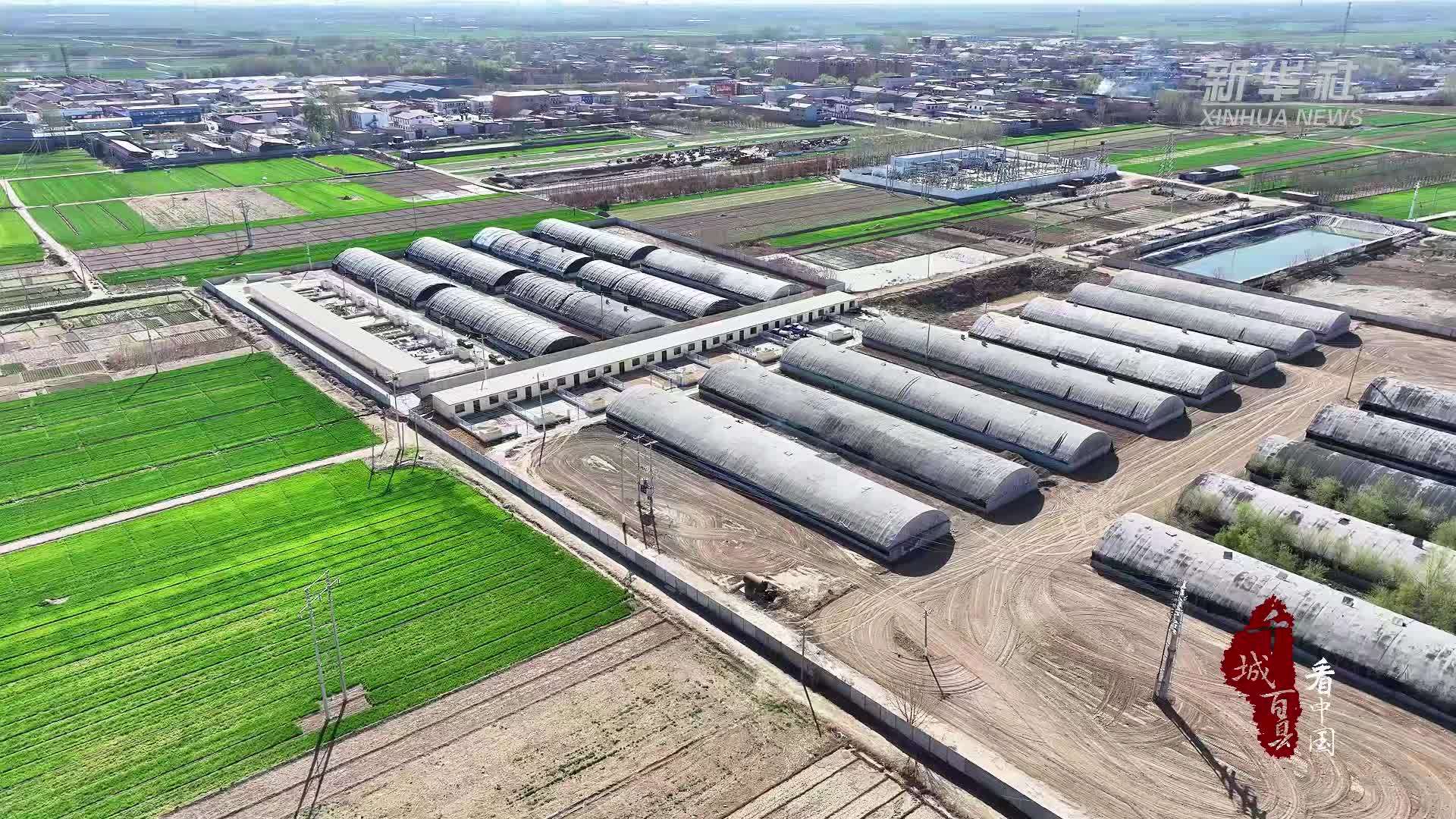 千城百县看中国｜河北安国：曦染菌棚千“伞”开 乡村振兴入画来