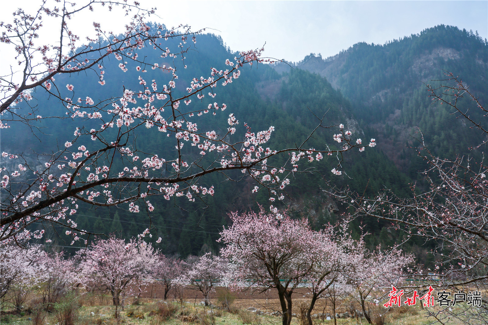 天祝三峡春日风光 新甘肃·甘肃日报通讯员 杨义林摄