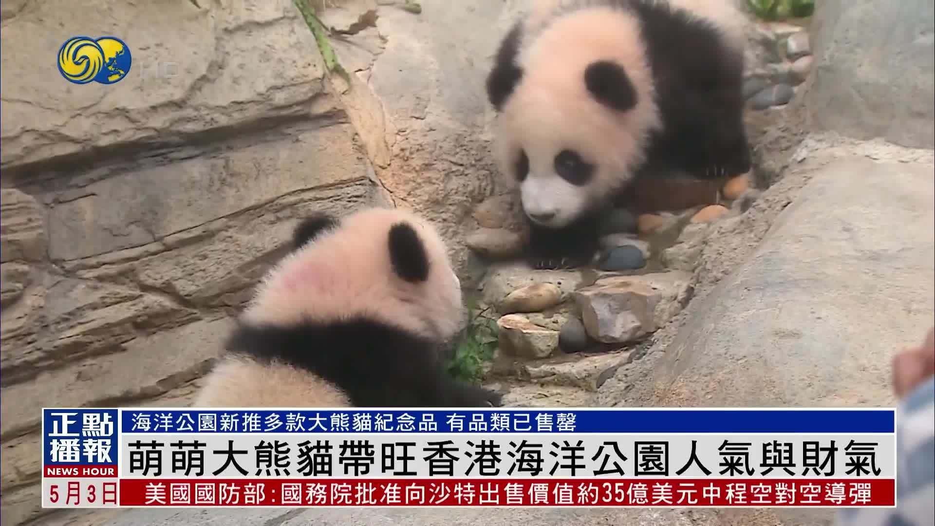 记者观察｜萌萌大熊猫带旺香港海洋公园人气与财气