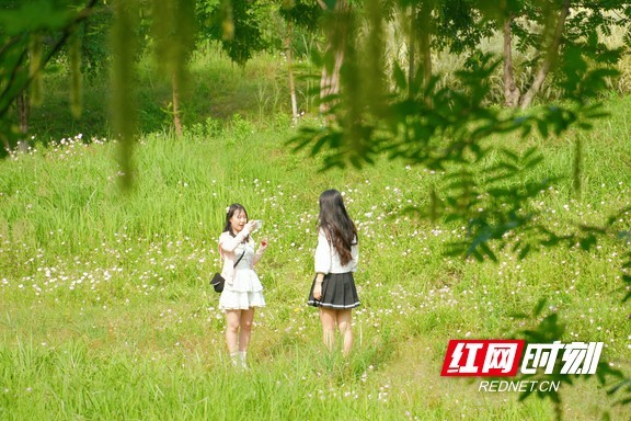 年轻女孩们在此游玩拍照。