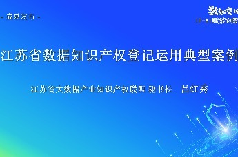 2025年江苏省数据知识产权登记运用典型案例发布