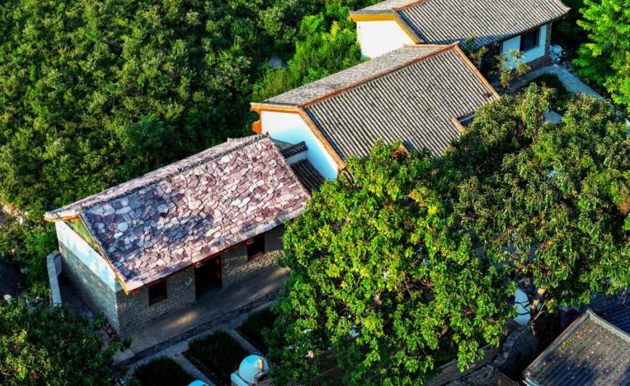铜山张集镇：农文旅融合绘就乡村振兴新画卷