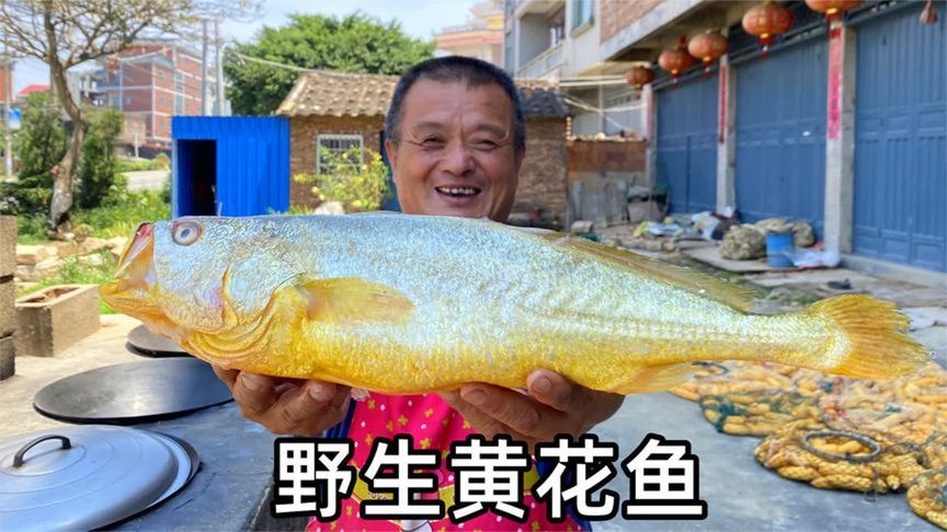 价值近两万的野生黄花鱼，阿胖山拍摄以来最贵的鱼，到底好不好吃？