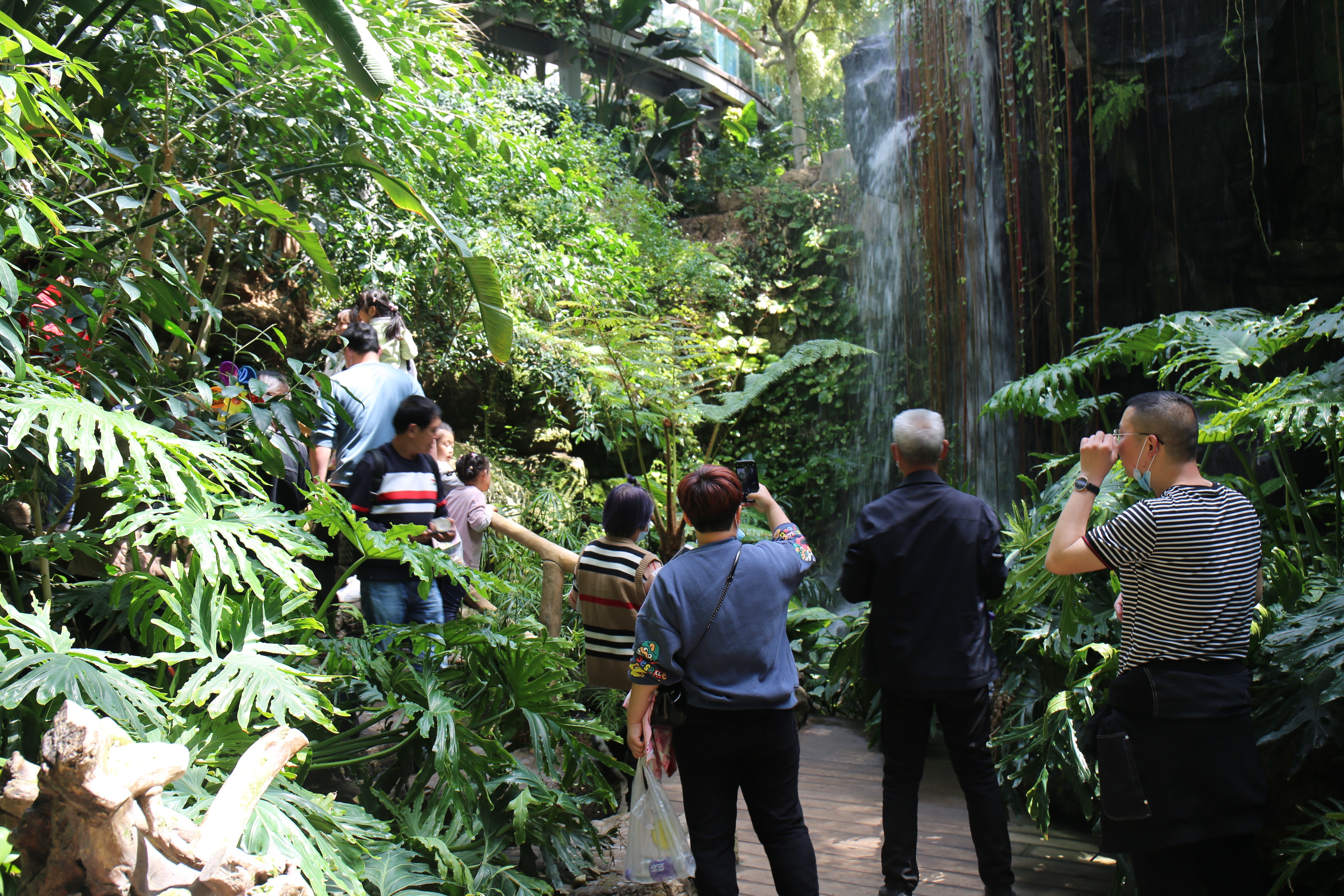 “五一”假期青岛世博园“趣”玩指南！ 绝美芝樱花海+萌宠互动+植物探秘…即刻出发！