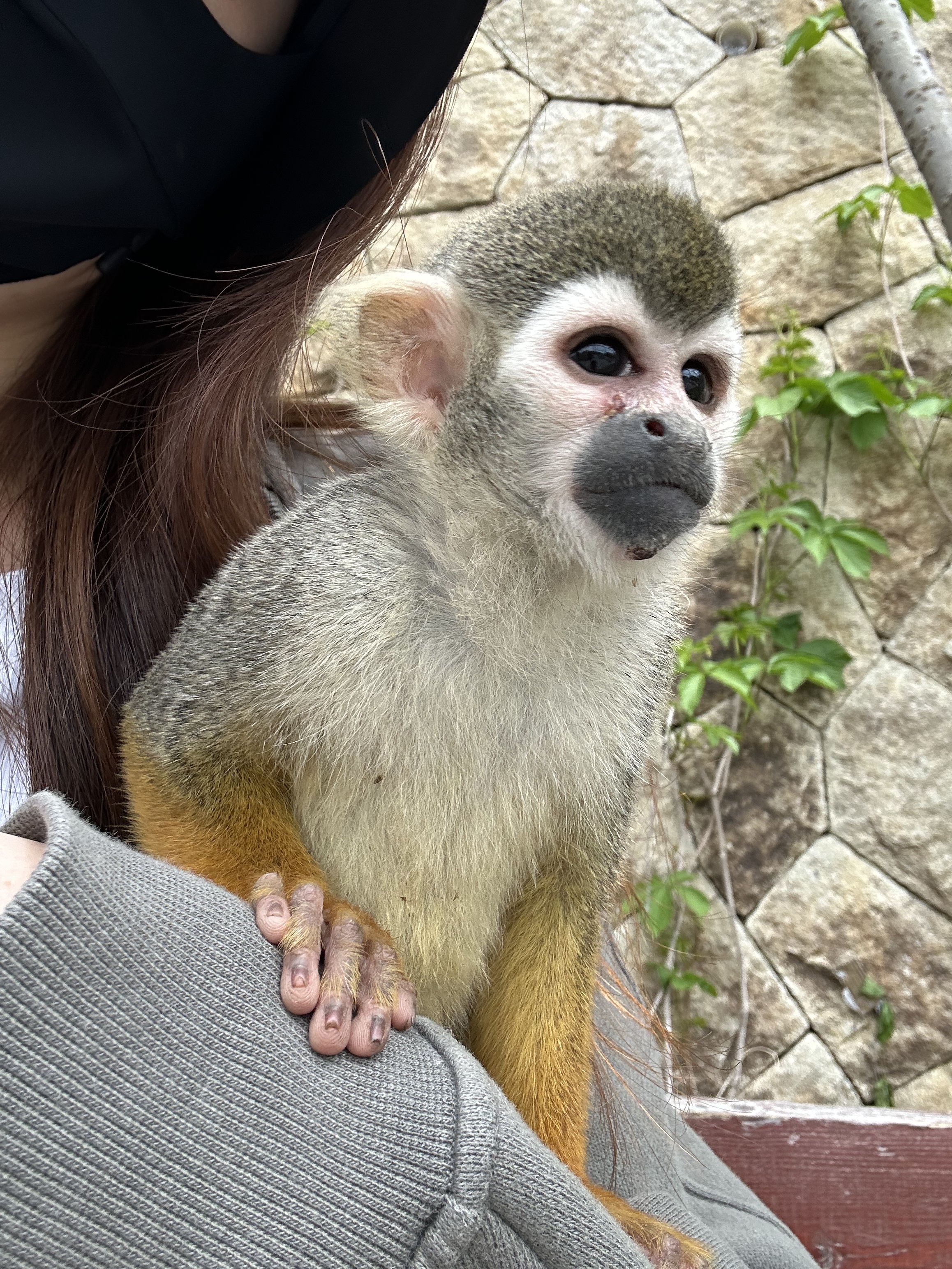 “五一”假期青岛世博园“趣”玩指南！ 绝美芝樱花海+萌宠互动+植物探秘…即刻出发！