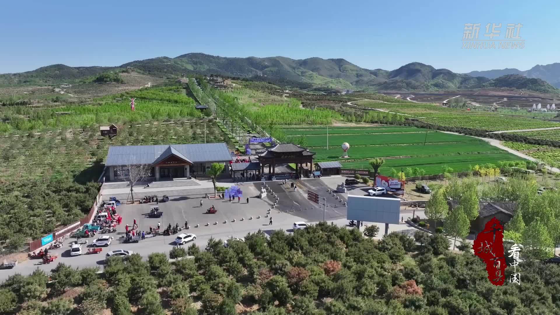 千城百县看中国｜河北卢龙：AI智能＋国潮　赋能乡村旅游“智慧新玩法”