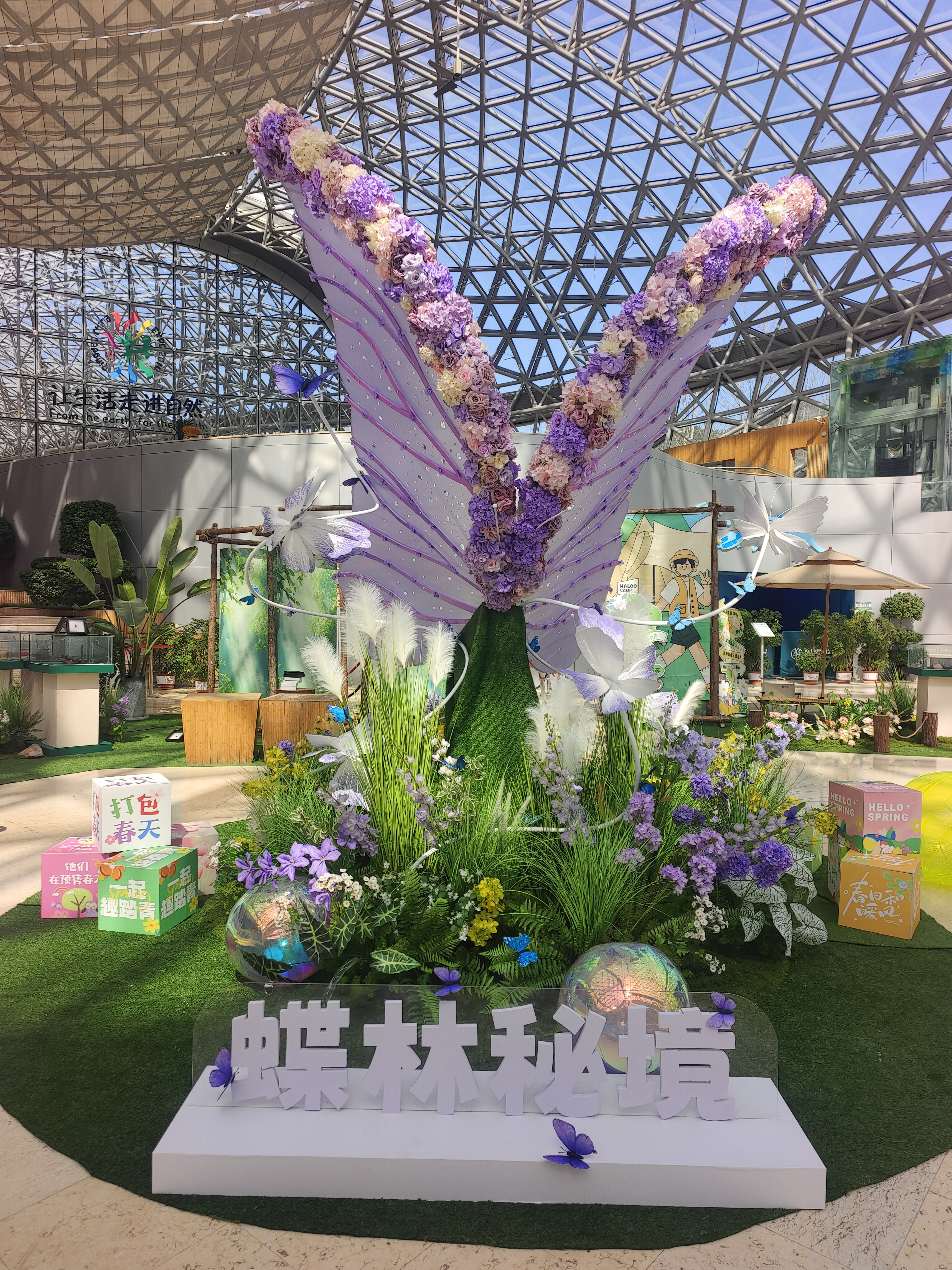 “五一”假期青岛世博园“趣”玩指南！ 绝美芝樱花海+萌宠互动+植物探秘…即刻出发！