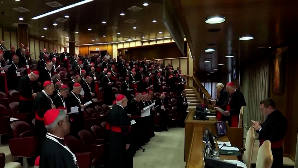 梵蒂冈发布新任教宗选举详细流程