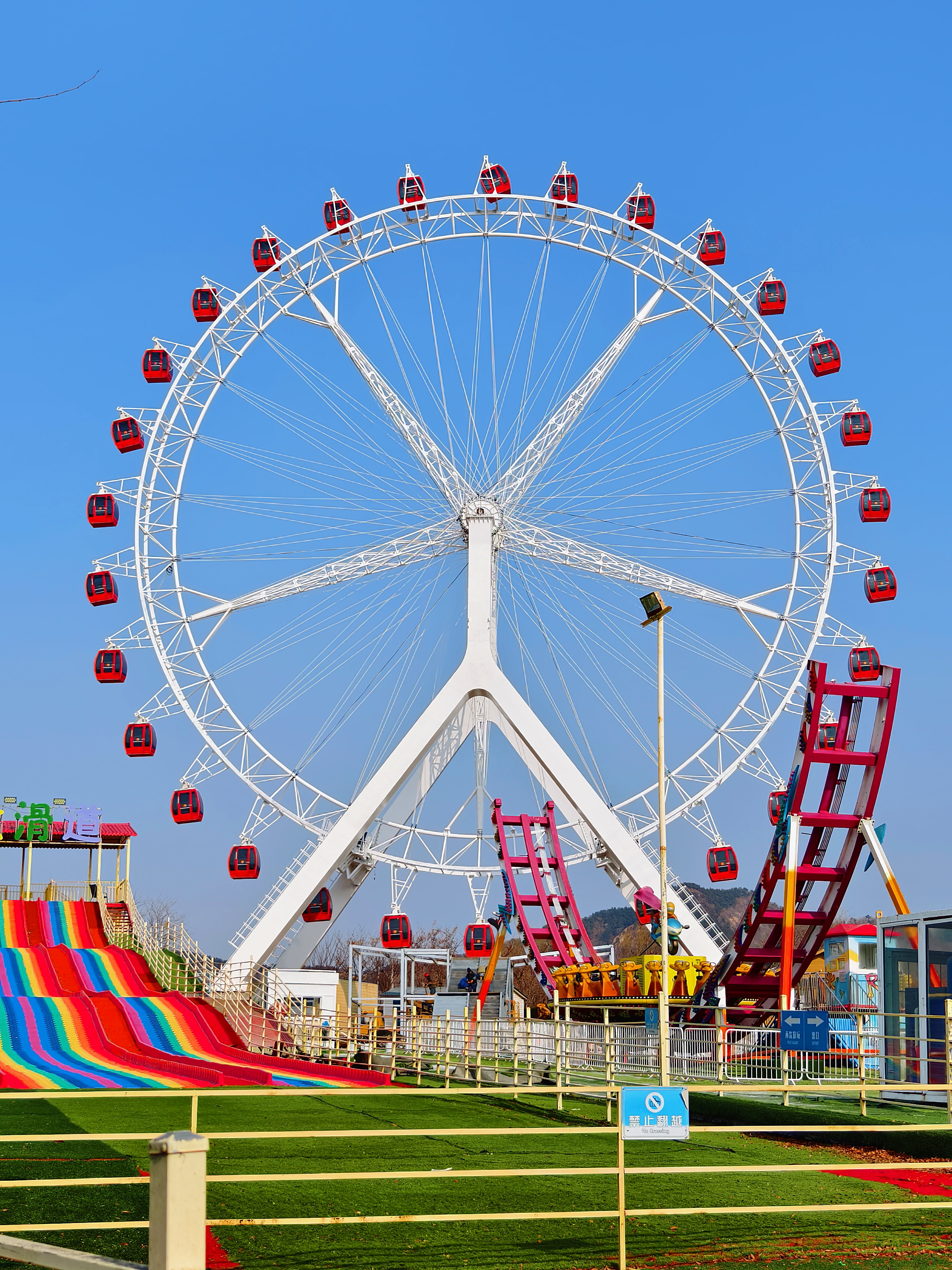 “五一”假期青岛世博园“趣”玩指南！ 绝美芝樱花海+萌宠互动+植物探秘…即刻出发！