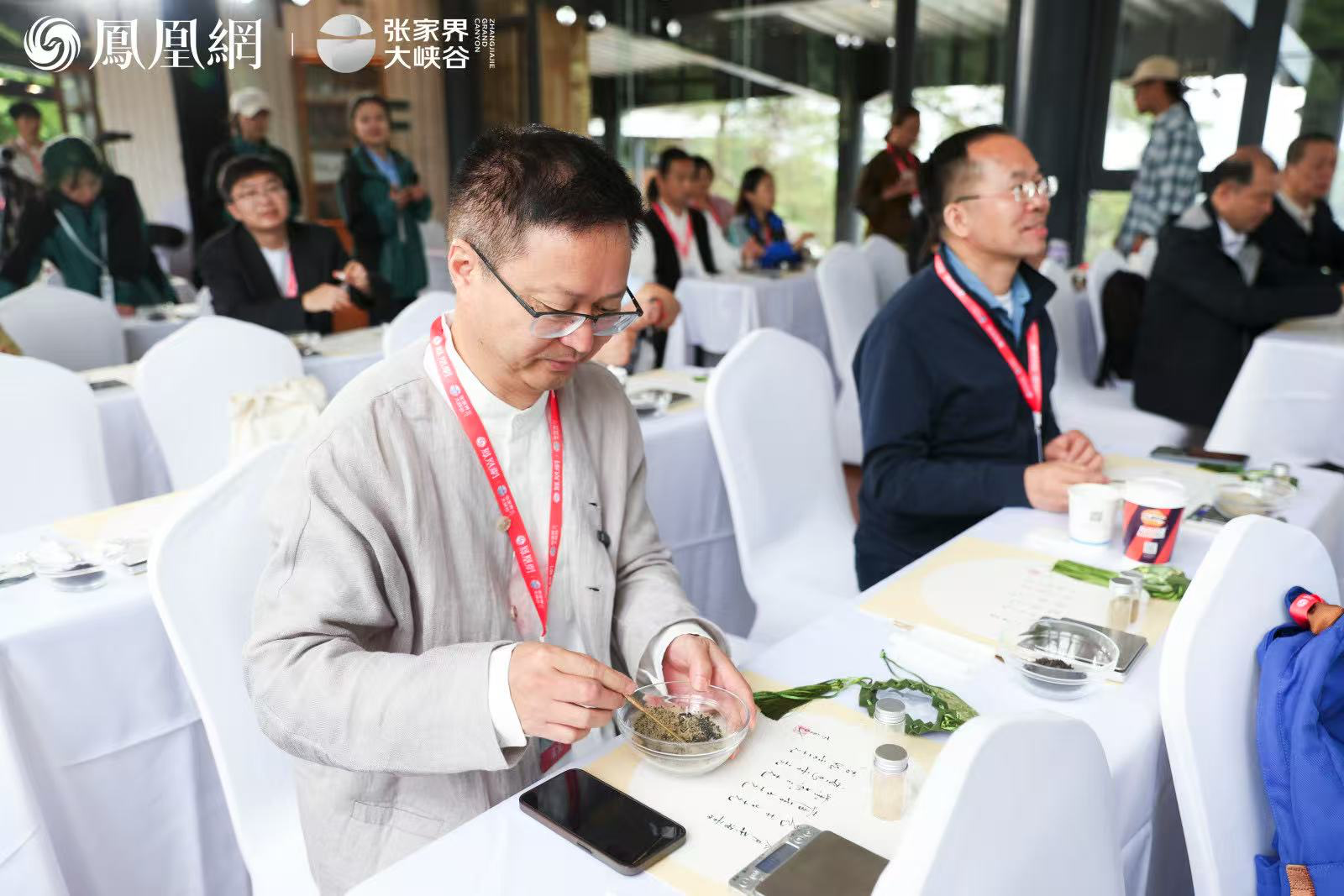 图集丨张家界大峡谷的康养课:如何做个治愈系的“峡客”