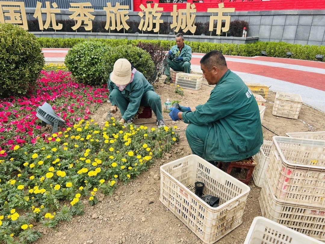 微信图片_20250425191957.jpg