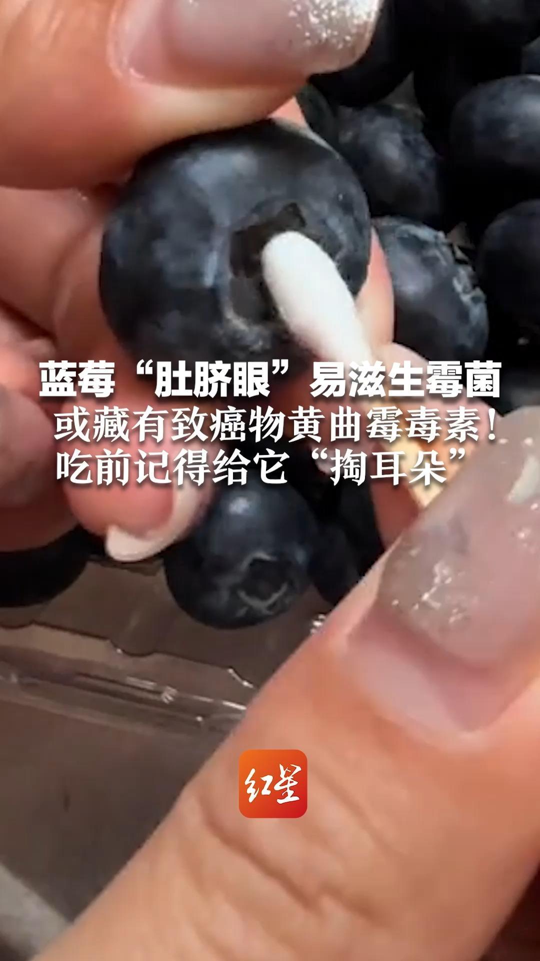 蓝莓“肚脐眼”易滋生霉菌 或藏有致癌物黄曲霉毒素！吃前记得给它“掏耳朵”