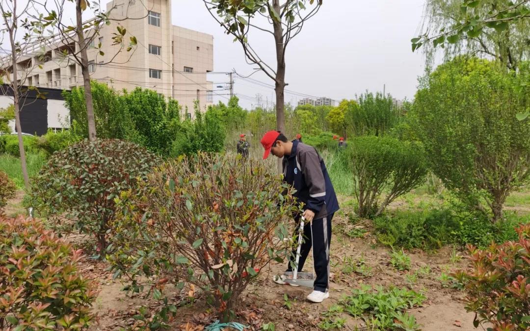 从荒地到乐园！睢宁一中把校园角落变成微型生态公园