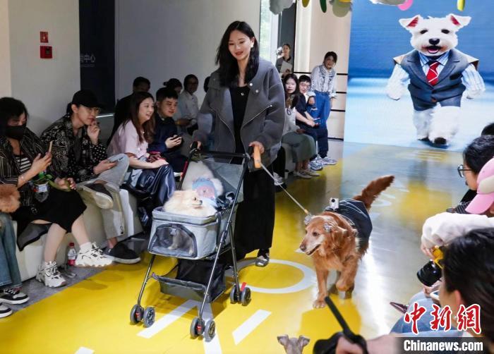 活动现场。　主办方 供图
