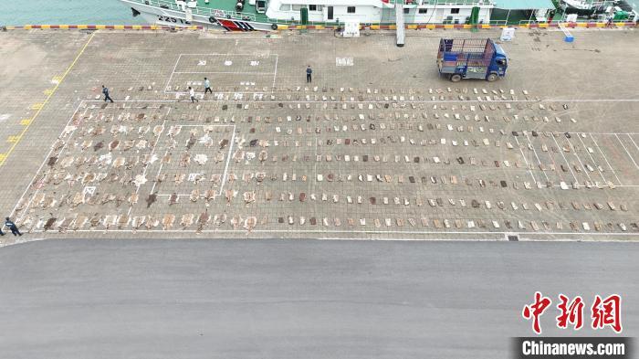 图为涉案货物。广西防城港海警局 供图