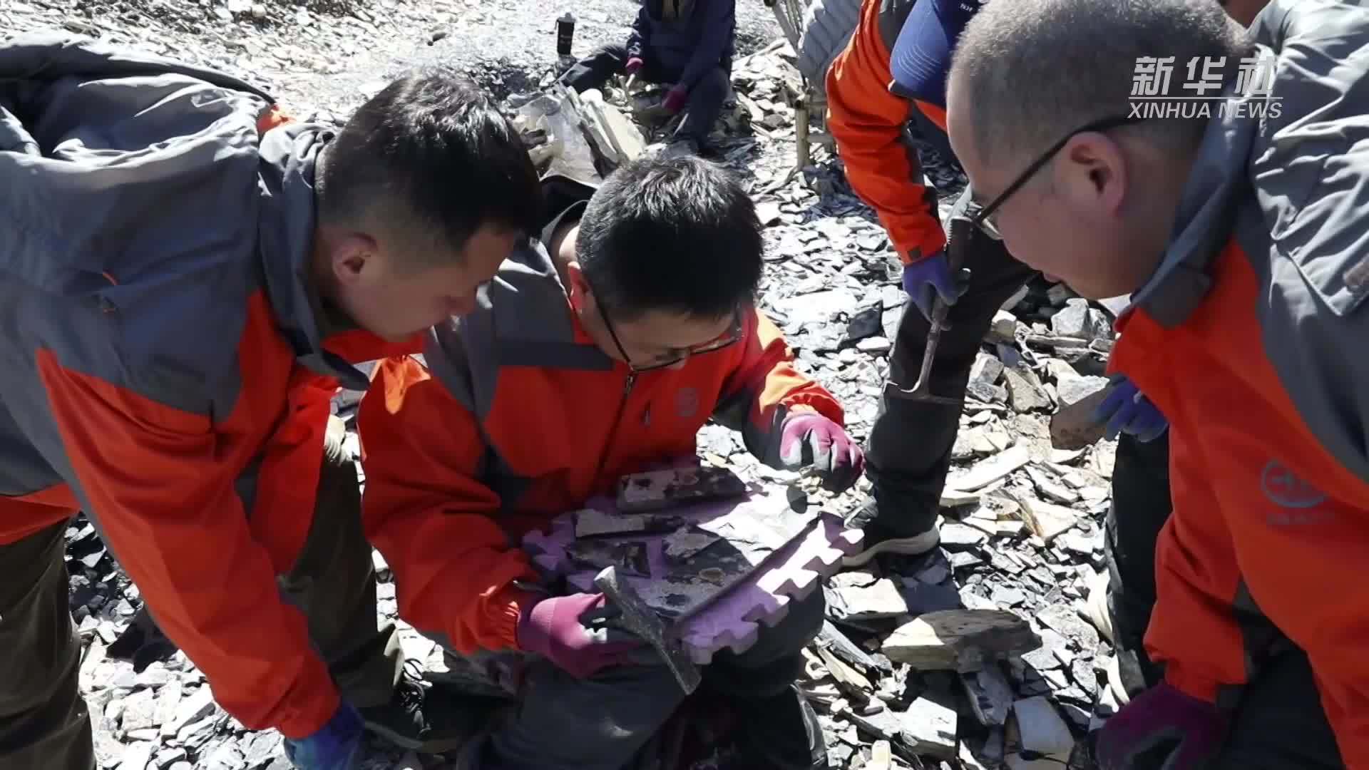 林敏：用脚步丈量山河 践行“地质报国”